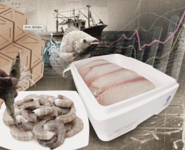 Tilapia y camarón, dos tesoros económicos de Latinoamérica